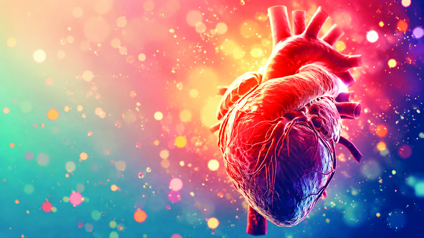 3D Heart Render